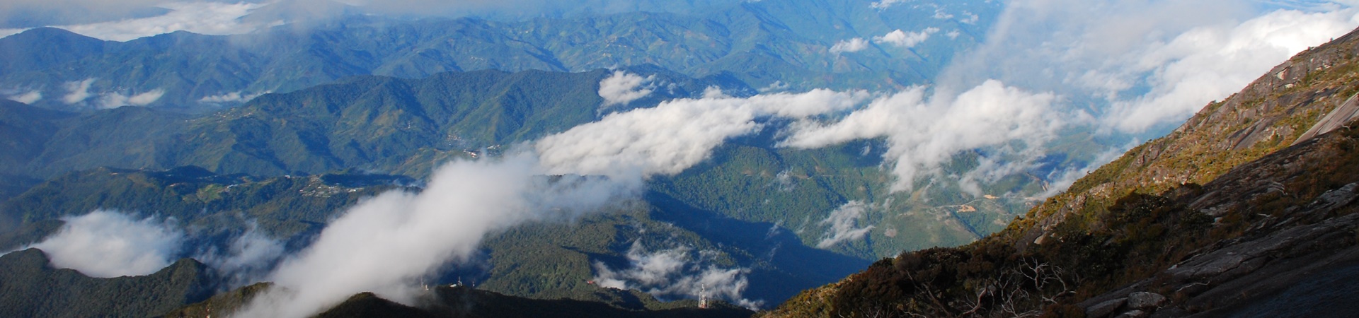 Image of Sabah Wildlife Adventure