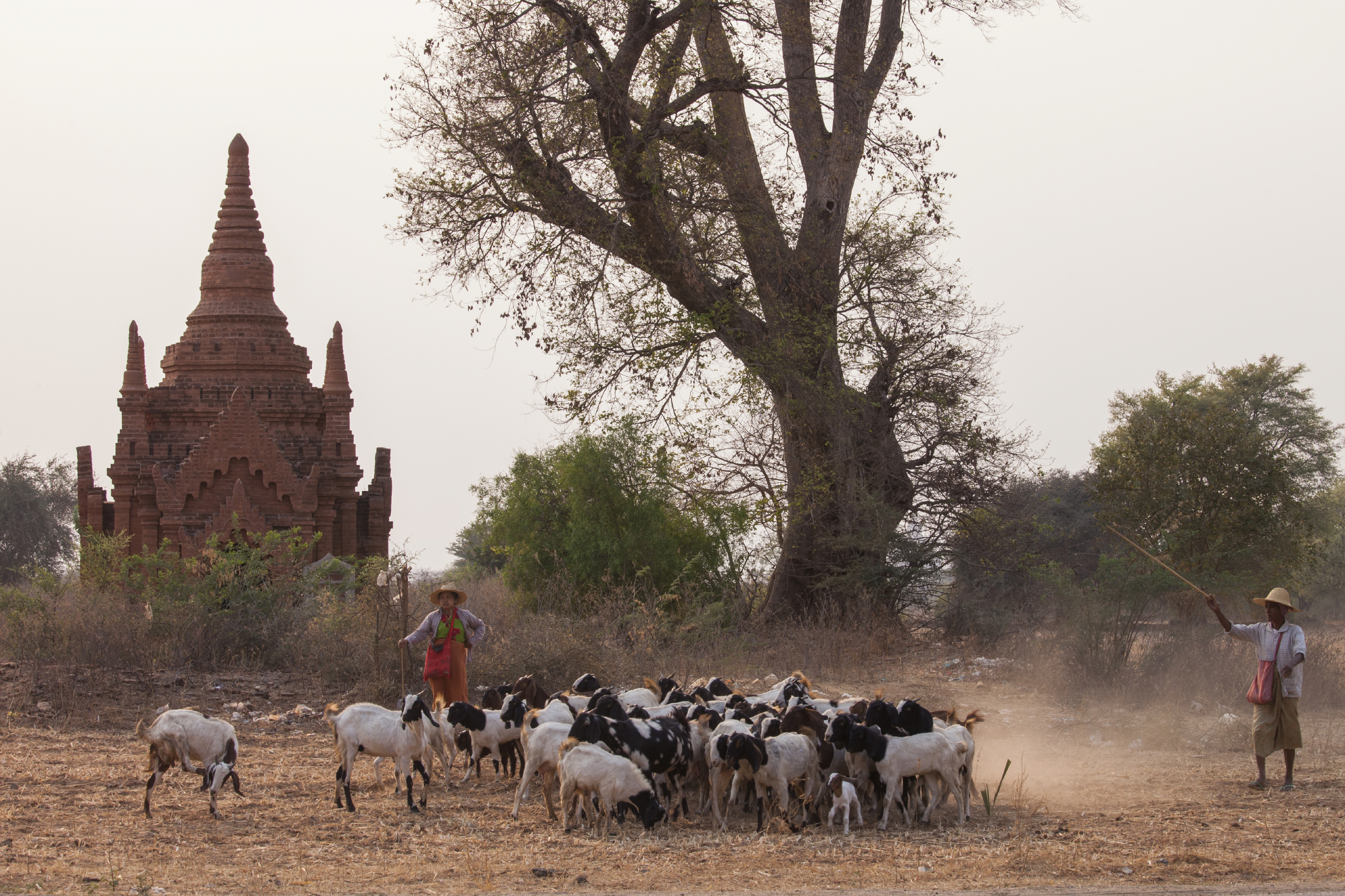 The Ancient Capitals of Myanmar By Bike