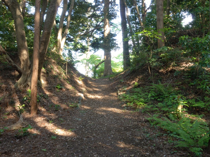 Kumano Kodo and Ama Divers