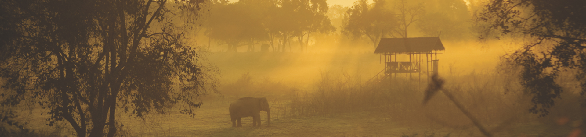 Luxury Glamping in North Thailand
