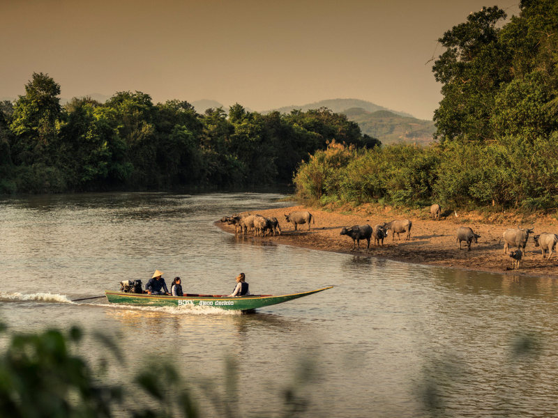 Luxury Glamping in North Thailand