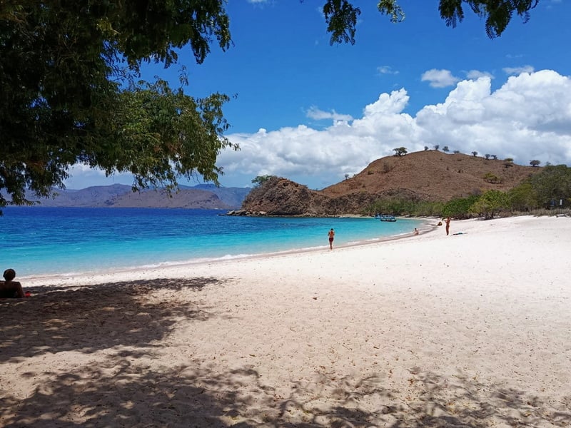 Komodo & The Rinca Trails