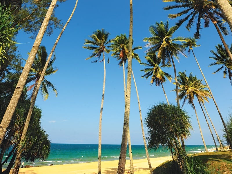 Sabah Wildlife Adventure