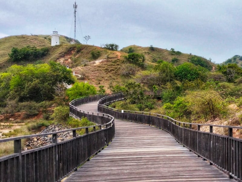 Spectacular Flores And Komodo