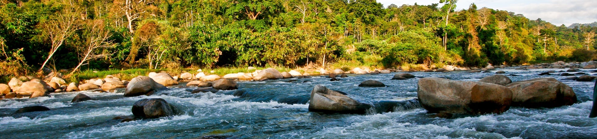 Image of Discover Belum