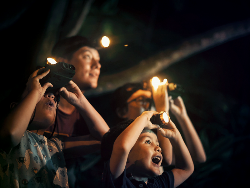 Sabah Family Adventure