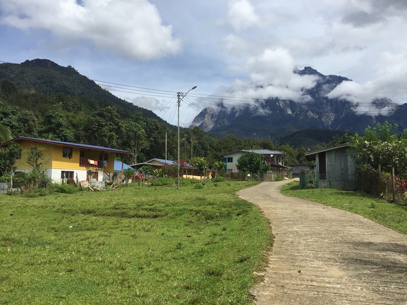 Trekking Challenge: Mount Kinabalu Jungle to Mountain