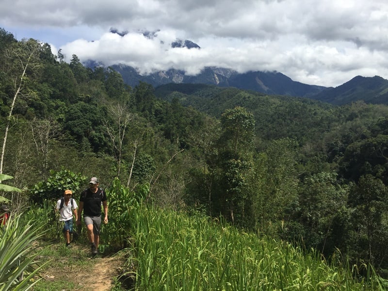 Trekking Challenge: Mount Kinabalu Jungle to Mountain