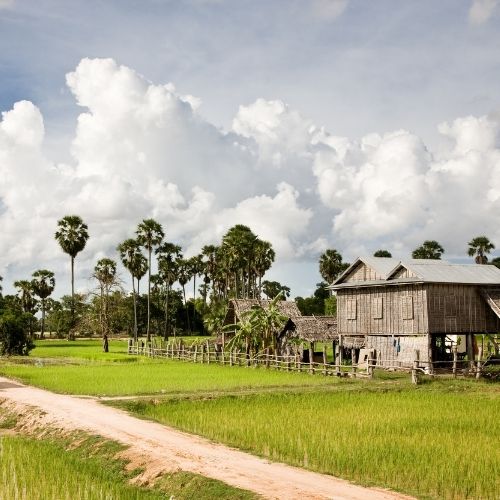 Cambodia Culture & Cuisine
