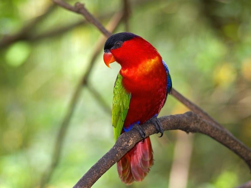 Family Adventure in Singapore