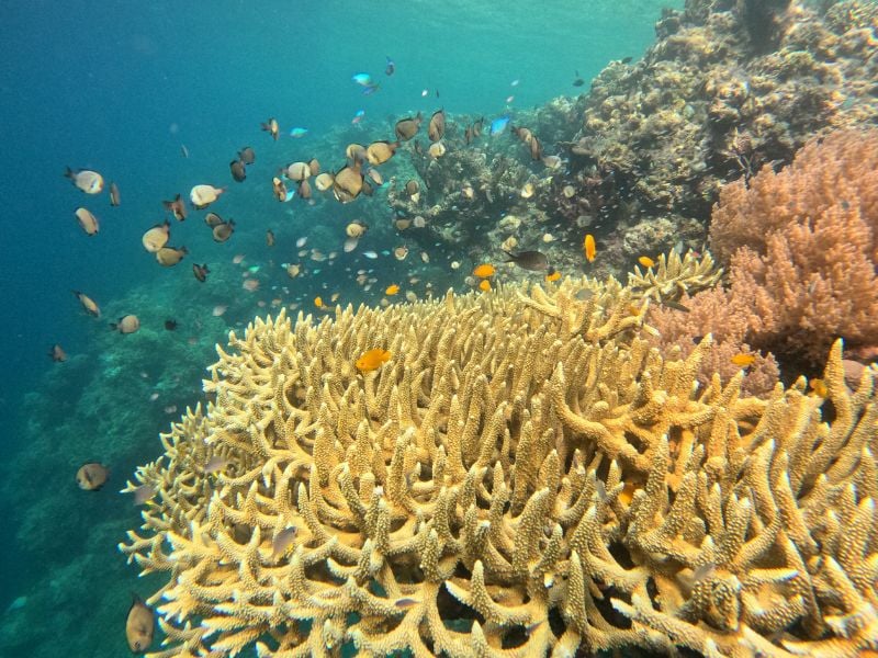 Bali Eco Harmony