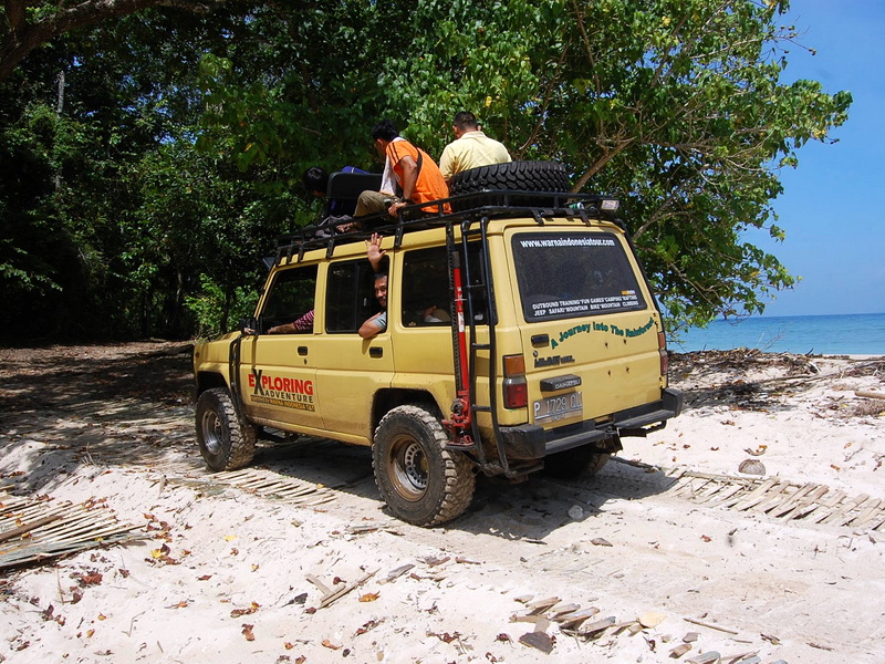 Wild of Sukamade Turtle Beach