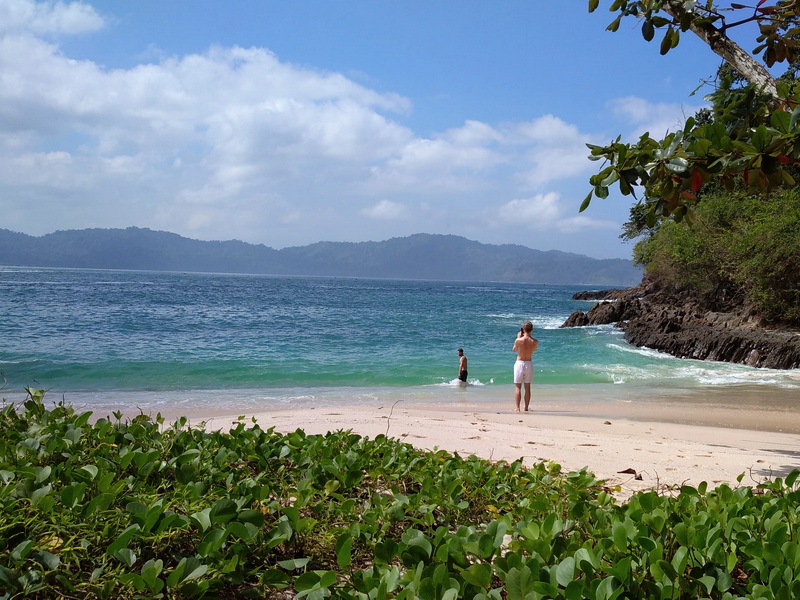 Wild of Sukamade Turtle Beach