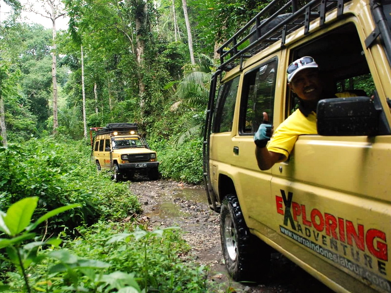 Wild of Sukamade Turtle Beach