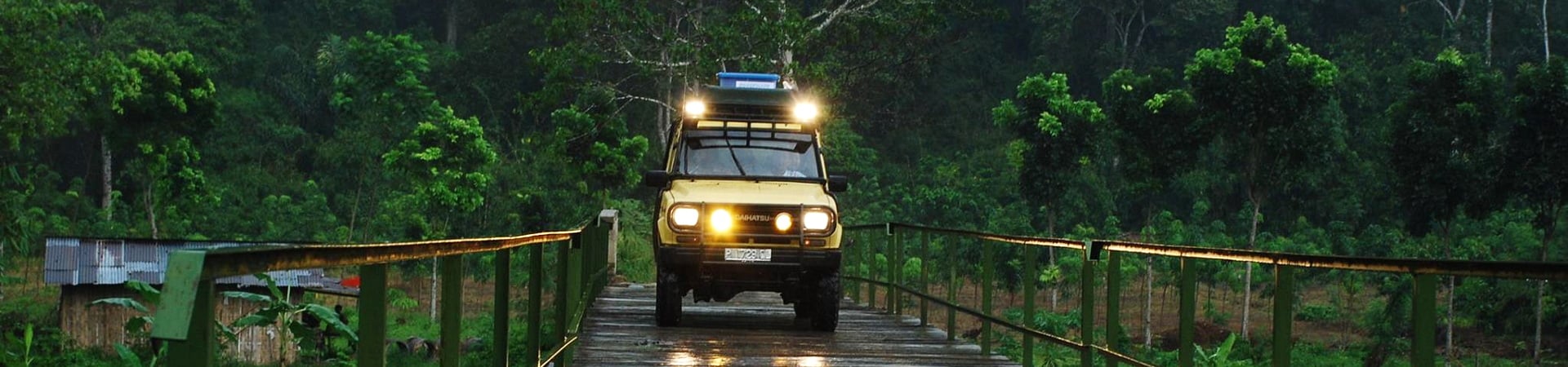 Wild of Sukamade Turtle Beach