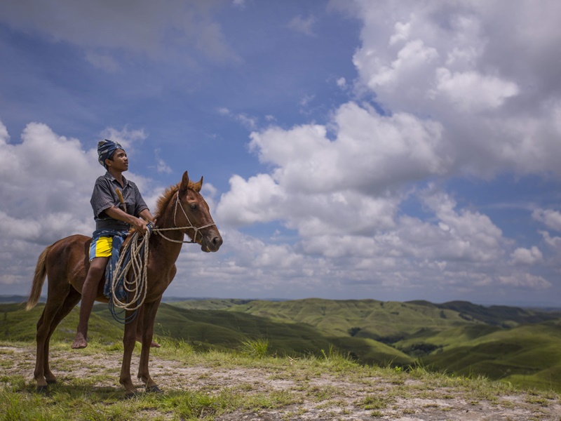Sumba Nature Delights