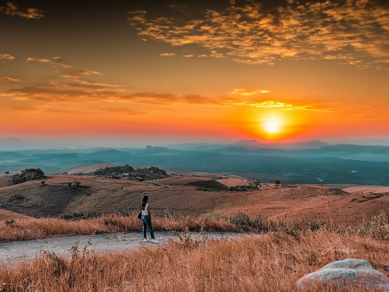 Wild Sumba Exploration With Free & Easy in Bali