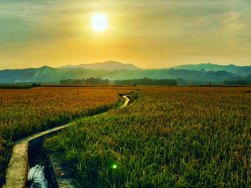 Escape Wild Sumba with Bali Extension