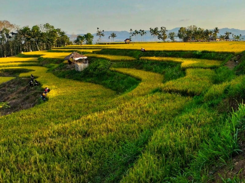 Sumba Uncovered: East Meets West
