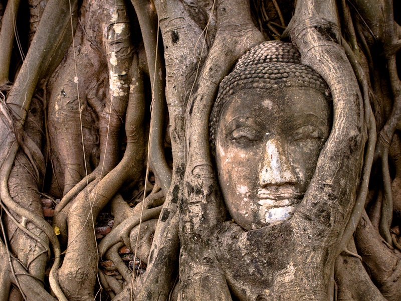 Cycling - Chiang Mai to Bangkok