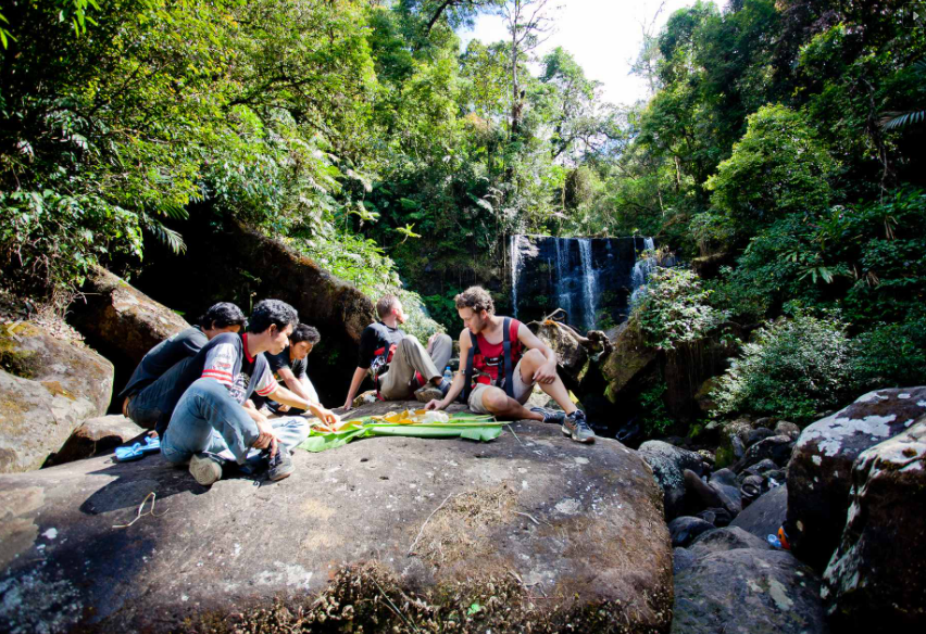Tree Top Expedition In The South