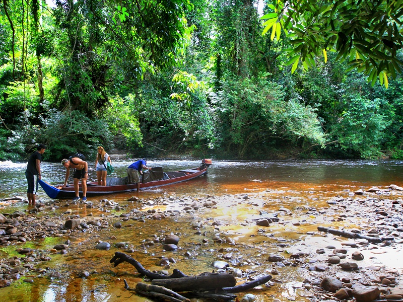 West Coast Self-Drive