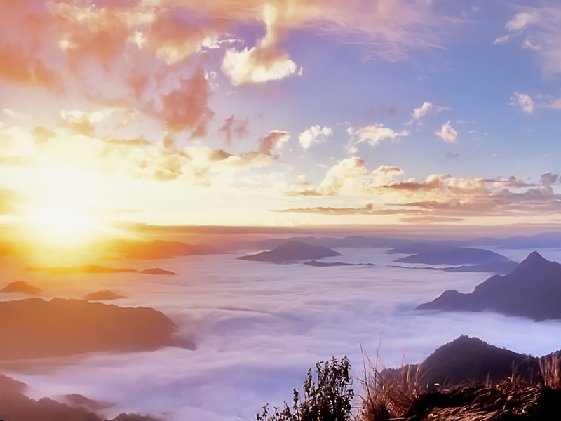 Luxury Glamping in North Thailand