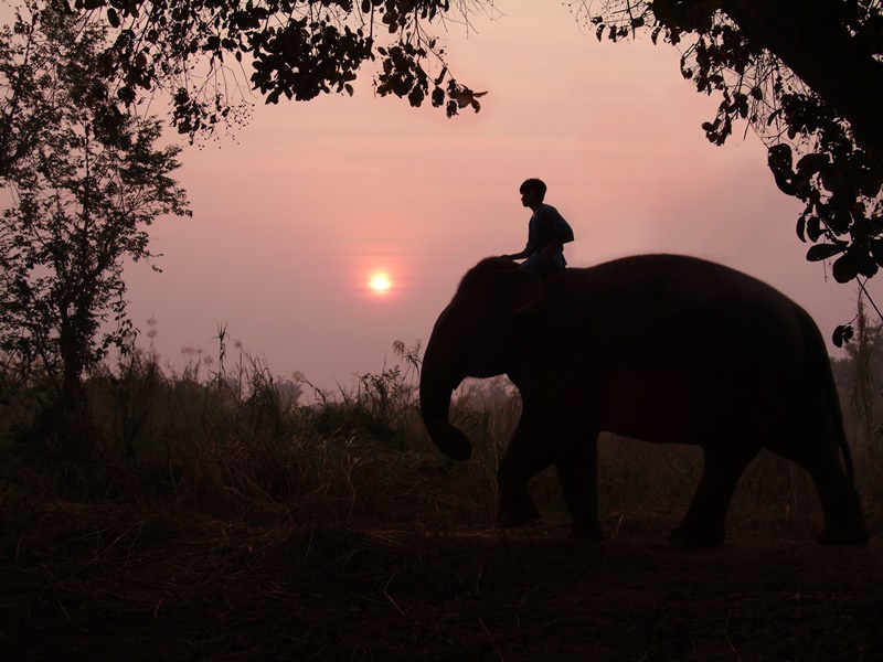 Thailand - Hip and Chic Tour