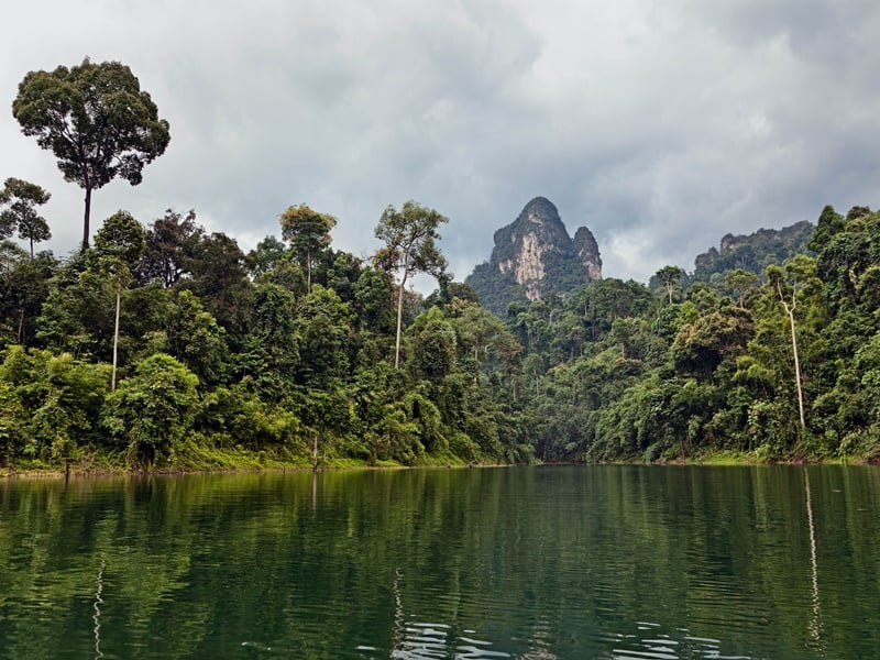 Lake & Jungle Family Encounter