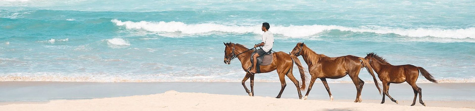 Image of The Essence of Sumba Hideaway