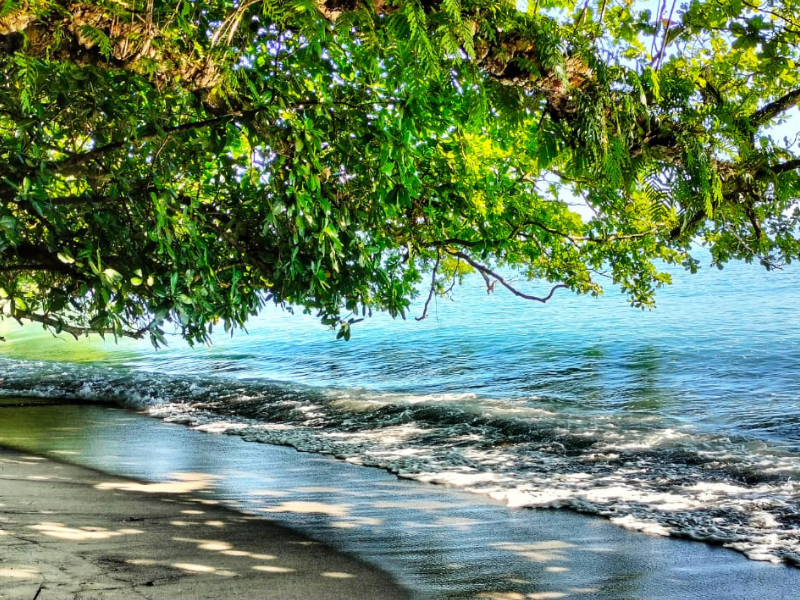 Trekking North Sulawesi Volcano & Tangkoko National Park