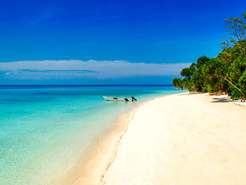 Sea Turtles of Selingan Island