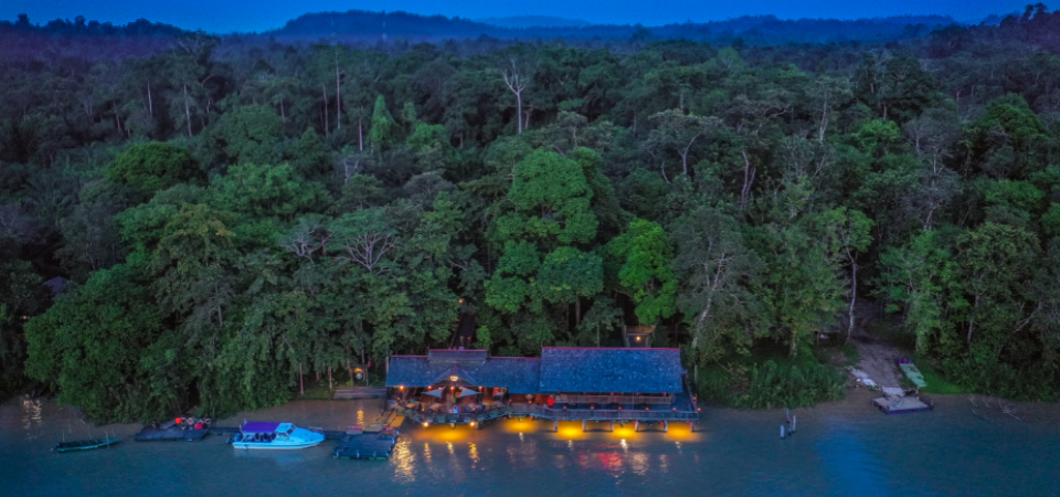 Wildlife River Adventures at Sukau