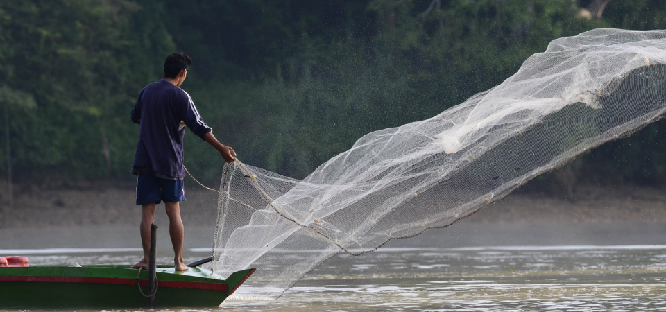 Wildlife River Adventures at Sukau