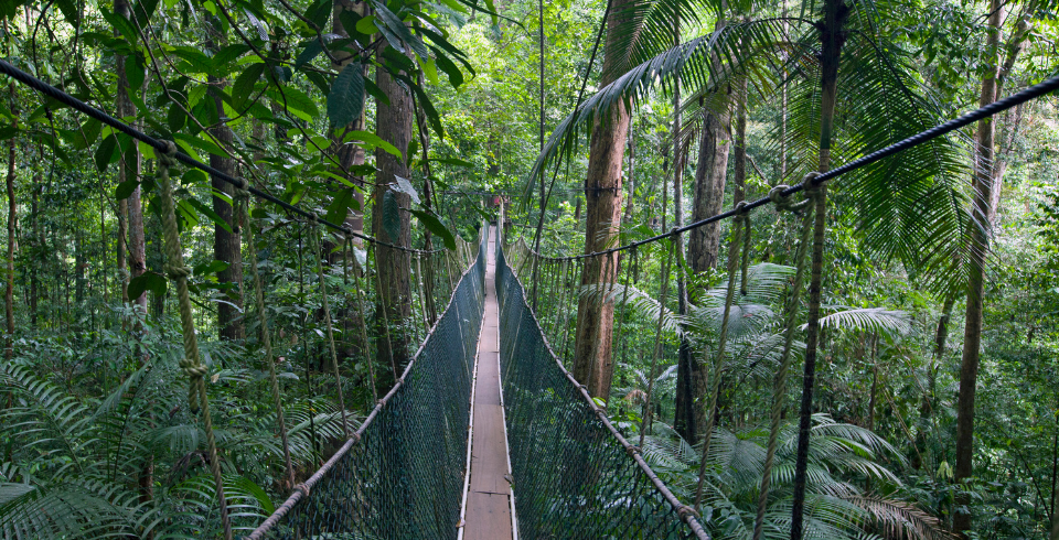 The Classic Malaysia