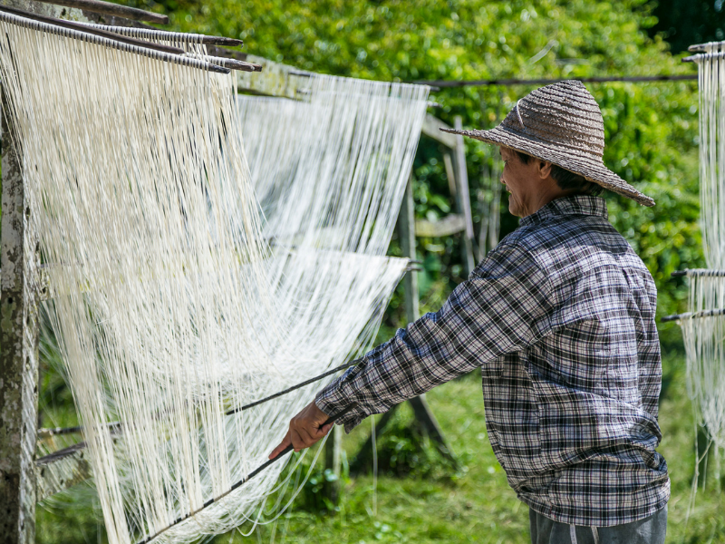 Borneo Rainforests & Friendly Tribes