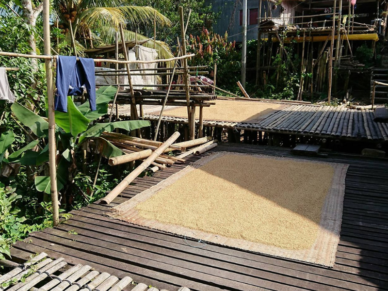 Family Run Homestay in a Bidayuh Tribe