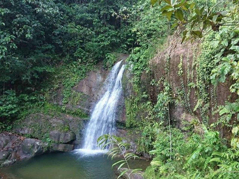 Family Run Homestay in a Bidayuh Tribe