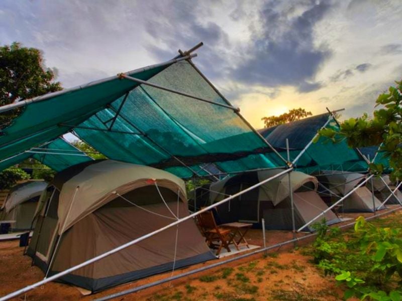 The Sea Turtles of Libaran Island