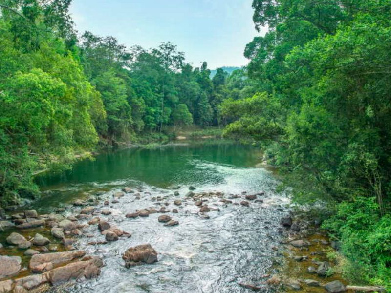 Rompin Rainforest Adventure