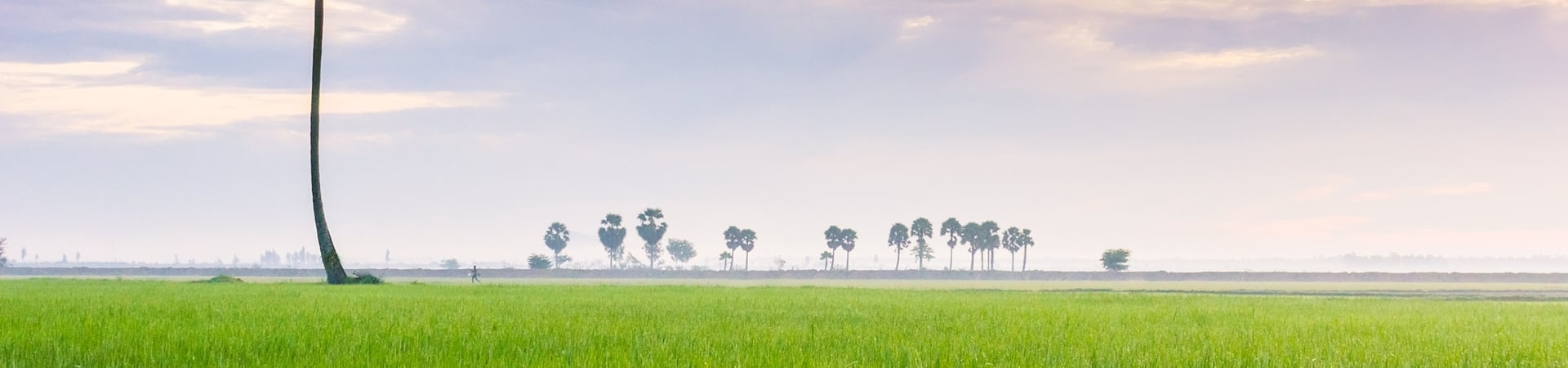 Image of Cycling - Meandering The Mekong