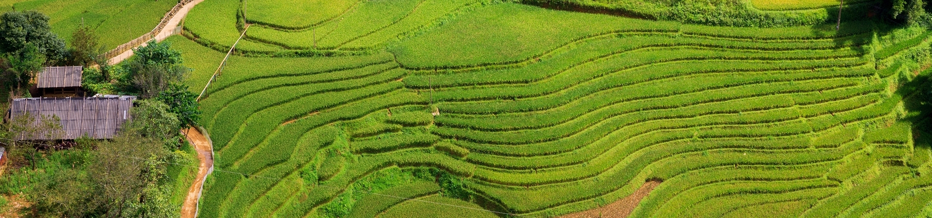 Image of Pu Luong Village Trek