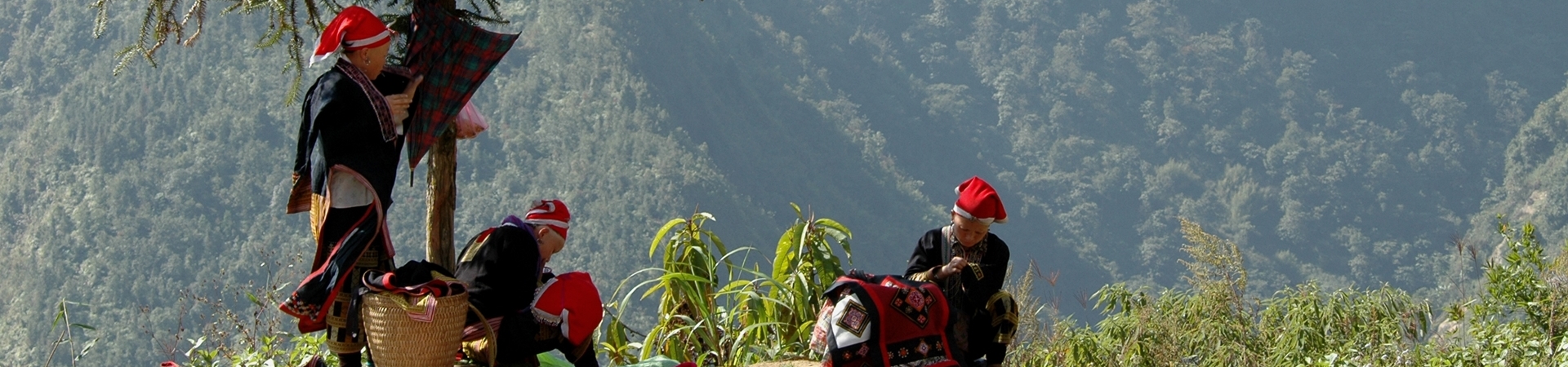 Image of Sapa Essential