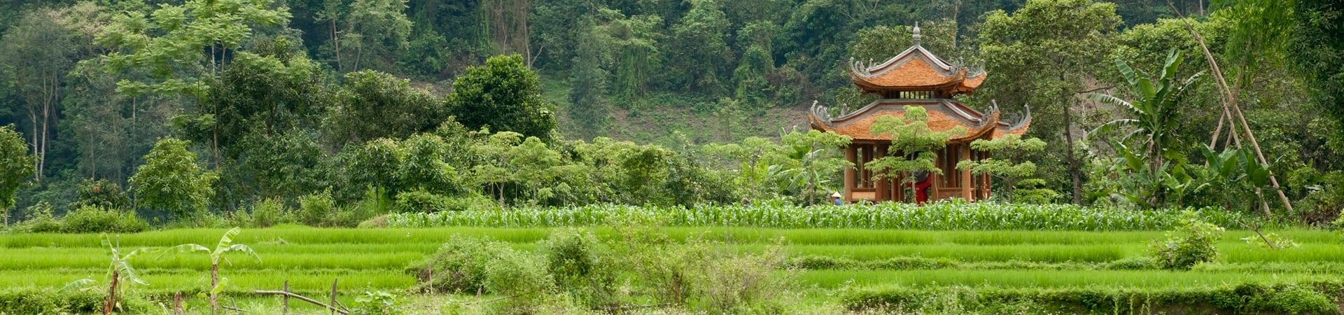 Image of Cycling Sapa to Hanoi