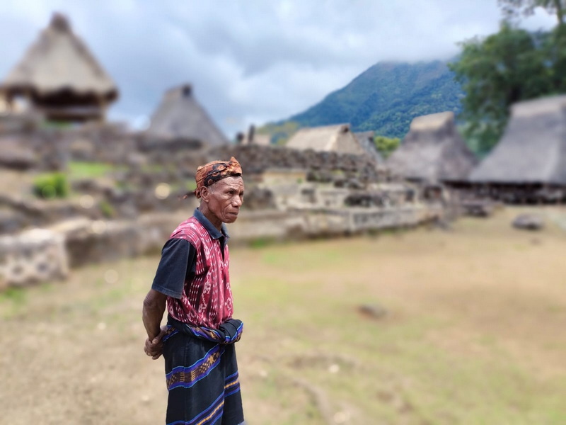 Spectacular Flores And Komodo