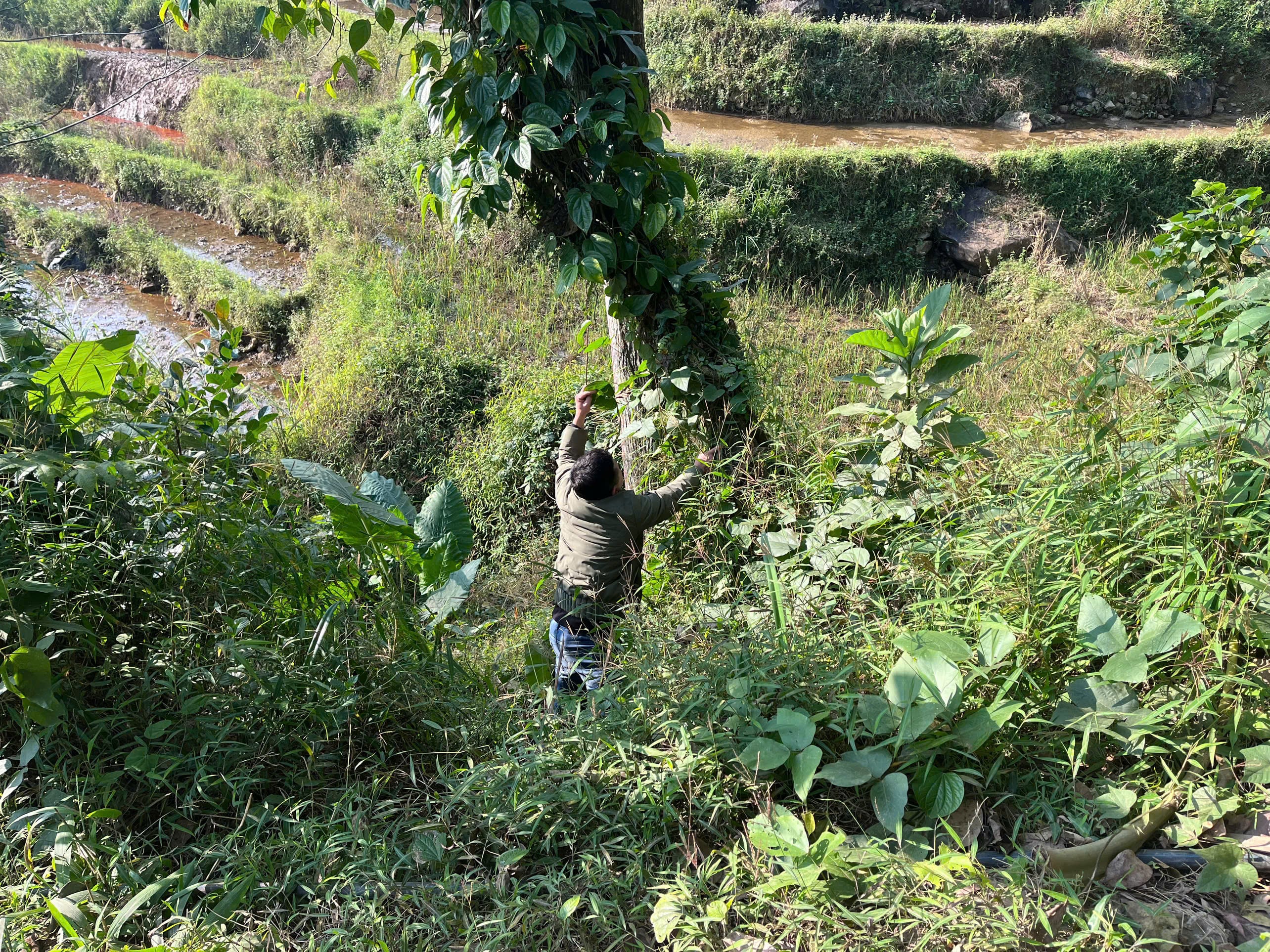 Nature, Culture & Community in Puluong