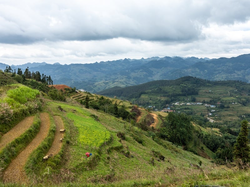 Beyond Bac Ha - Markets, Spice and Rice
