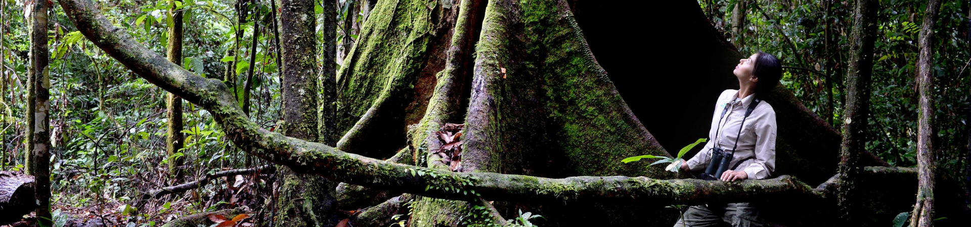 Image of Borneo in Style