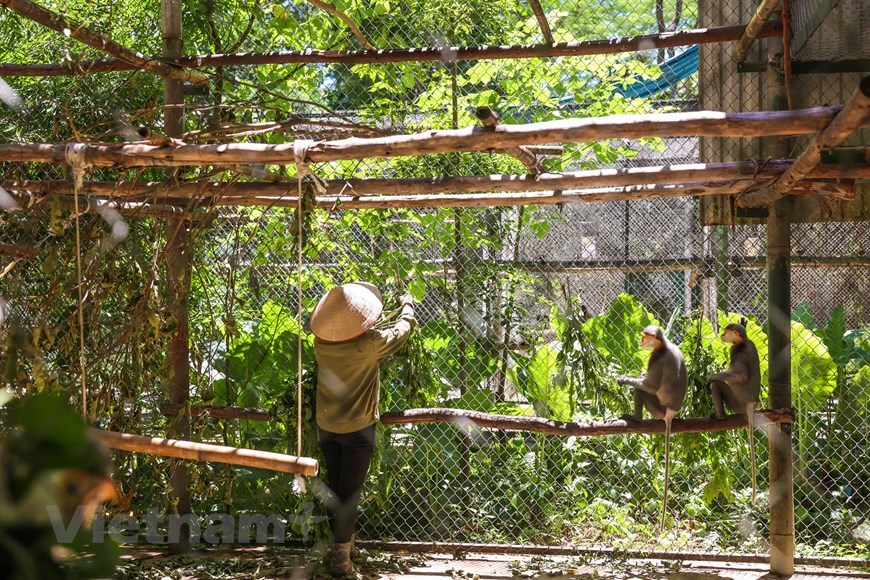 Wildlife Conservation and Ninh Binh Discovery