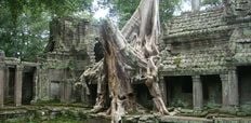 Multisport, Angkor Hike & Bike